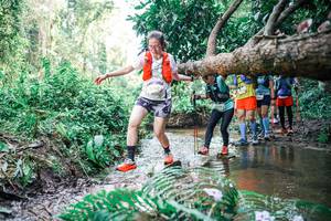 BIB: 
                            <button type="button" onclick="openModal(25475360)" class="btn btn-primary btn-sm float-right btn-popup" data-toggle="modal" data-target=".modal-high-quality">
                        <i class="fas fa-shopping-cart"></i> Add to Cart
                    </button>
                                            <button type="button" onclick="isThisMe(25475360, true)" class="btn btn-success btn-sm float-right btn-popup btn-isme hidden" data-toggle="tooltip" data-placement="bottom" title="นี่คือรูปของคุณใช่ไหม คลิกที่นี่เพื่อเอาเข้าอัลบั้ม">
                        <i class="fas fa-plus"></i> Add to album
                    </button>
                    <button type="button" onclick="isThisMe(25475360, false)" class="btn btn-warning btn-sm float-right btn-popup btn-isnotme hidden">
                        <i class="fas fa-ban"></i> Remove from album
                    </button>